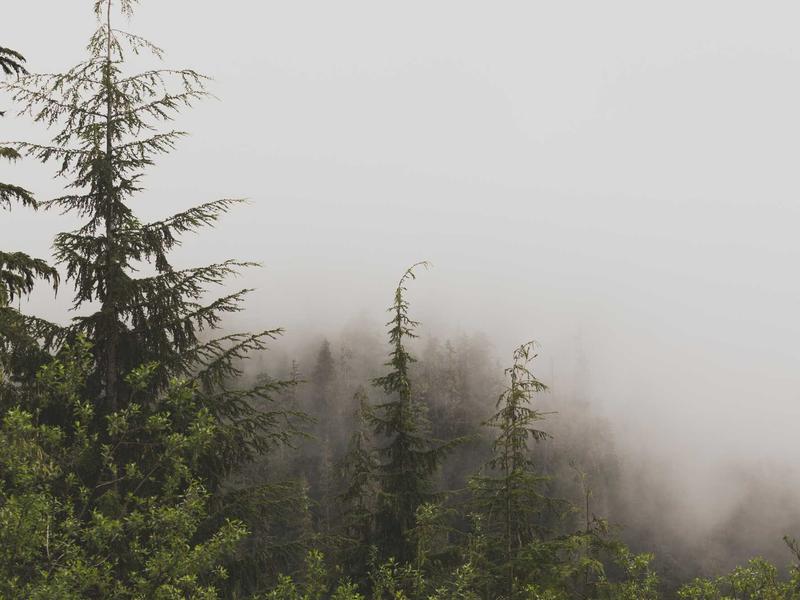DC机器人运维<br>自动管理/欢迎语/签到功能配置
